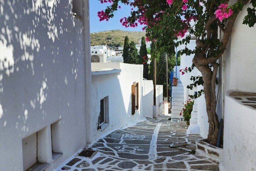 Une rue étroite aux murs blanchis, avec un pavé de pierre, un arbre aux fleurs roses et une vue lointaine sur des bâtiments et des collines. 4