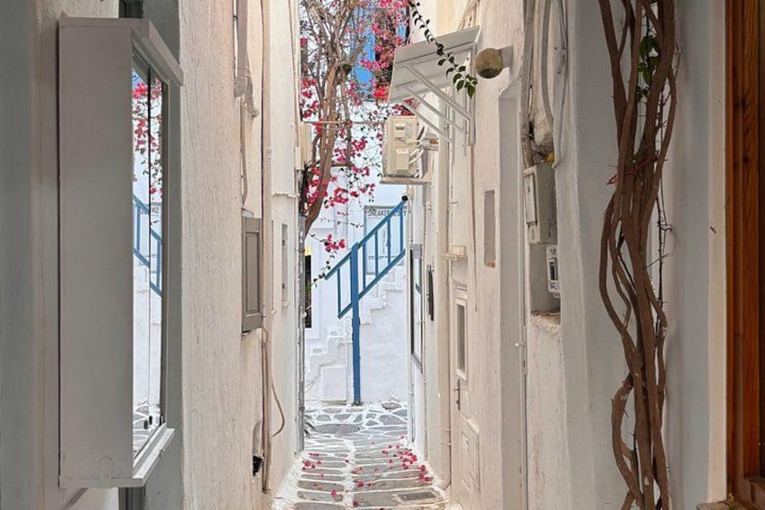 Paros Highlights Tour Paroikia Kolymbithres Lefkes in 4 Hours 5