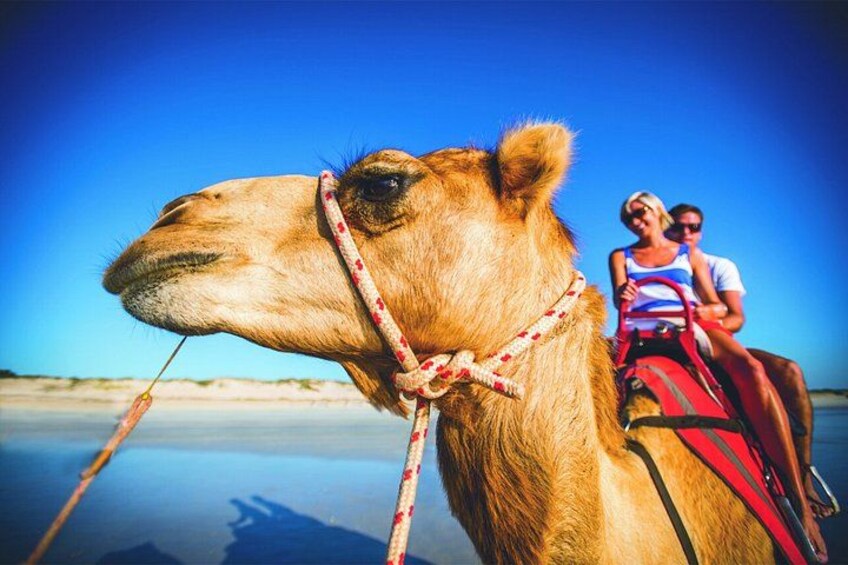 A camel with a rider and a passenger on a beach. 4