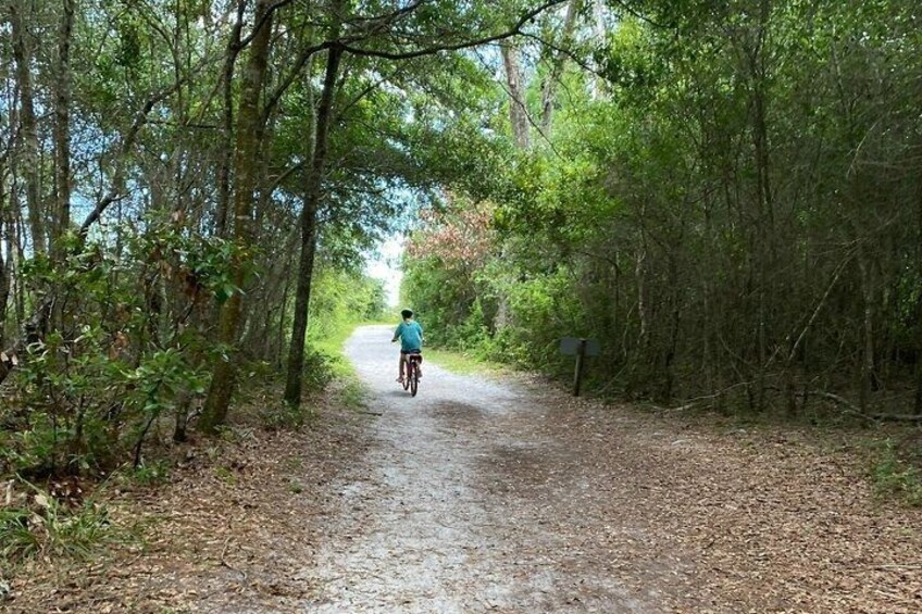 Electric Bike Tour Amelia Island & Big Talbot IS (Small Group) 1