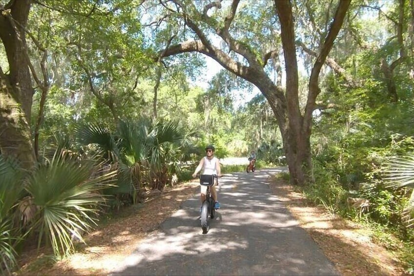 Electric Bike Tour Amelia Island & Big Talbot IS (Small Group) 2