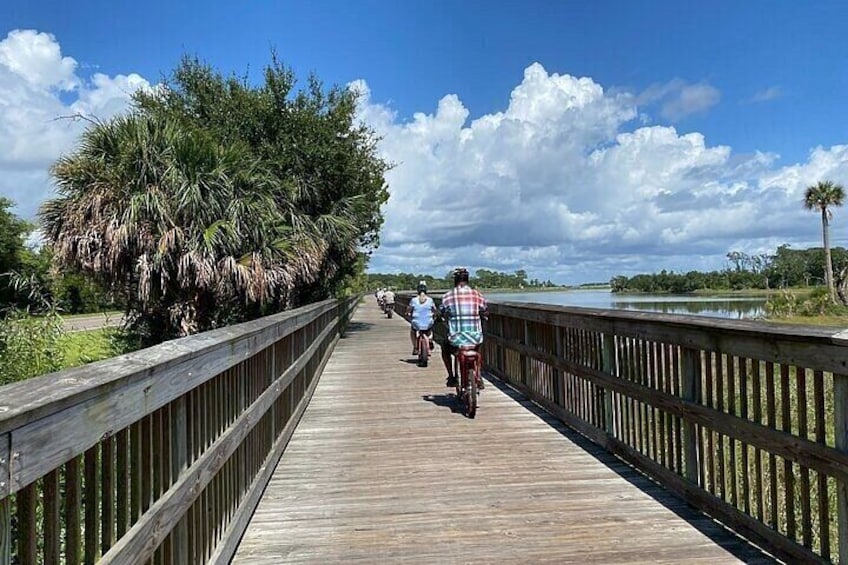 Electric Bike Tour Amelia Island & Big Talbot IS (Small Group) 3