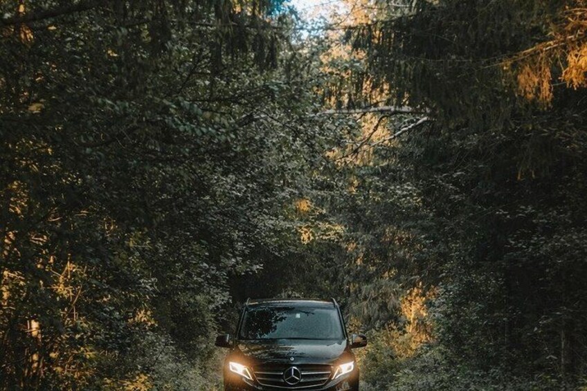 A car driving through a forested area. 2