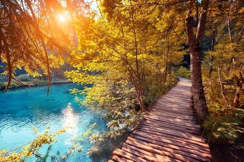 A wooden boardwalk beside a clear blue river, surrounded by trees with yellow leaves. 4
