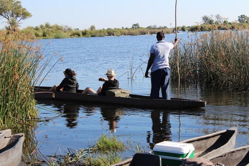 A canoe on a calm river with vegetation on the banks, a cooler on the shore, and a person standing in the canoe. 5