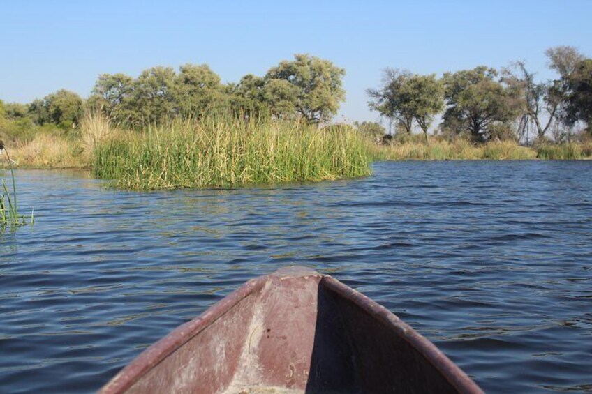 A river with a wooden boat, surrounded by tall grass and trees. 4