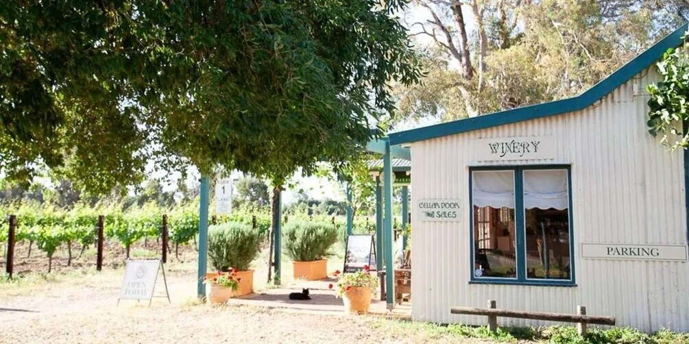 A winery with a sign reading 'Cellar Door Sales' and a parking sign. 2