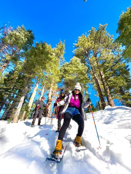 A group of people snowshoeing in a forested area with snow-covered ground and tall pine trees. 1