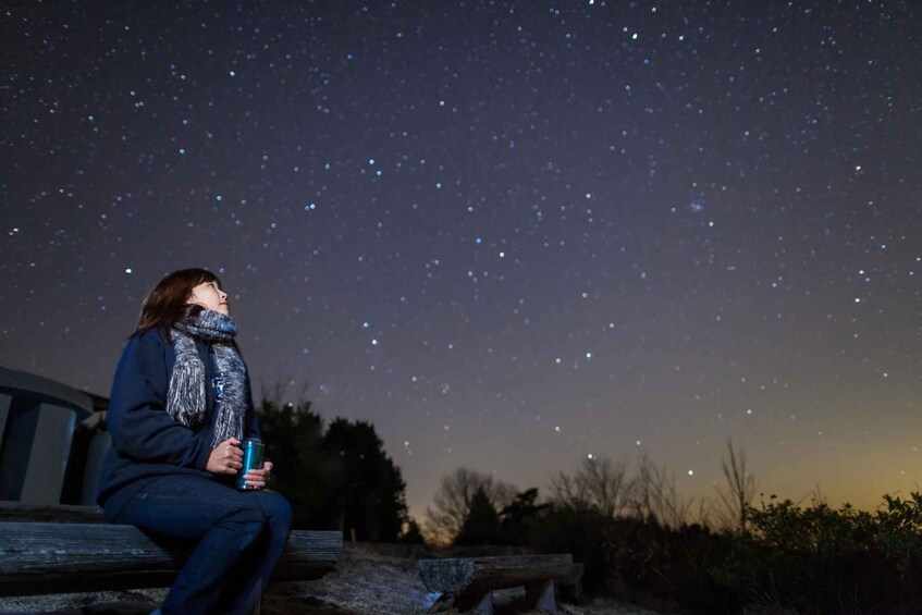 A person sitting on a bench under a starry night sky. 1