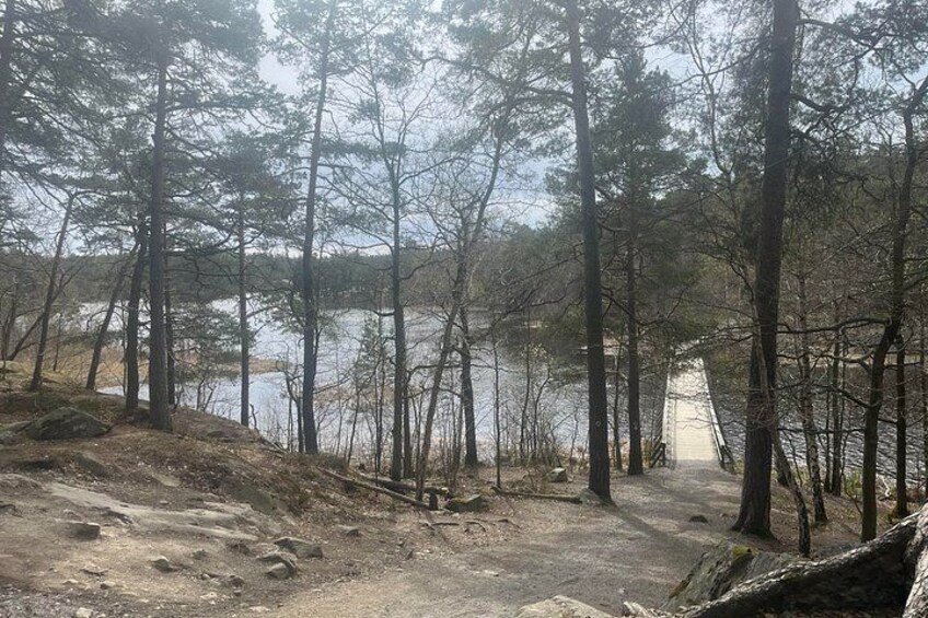 A forested area with a dirt path leading to a bridge over a body of water. 2