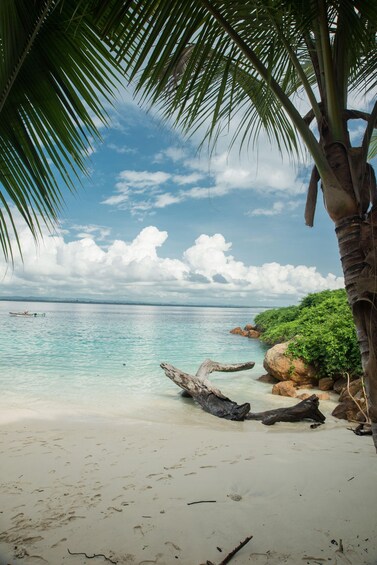 A beach with clear turquoise water, a palm tree, and a boat in the distance. 2
