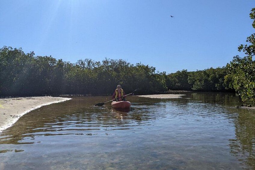 2 Hours Kayak Eco Tour in Tarpon Springs 4