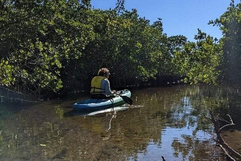 2 Hours Kayak Eco Tour in Tarpon Springs 2