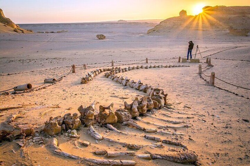 A desert landscape with a large, circular stone arrangement and a person standing on a tripod. 2