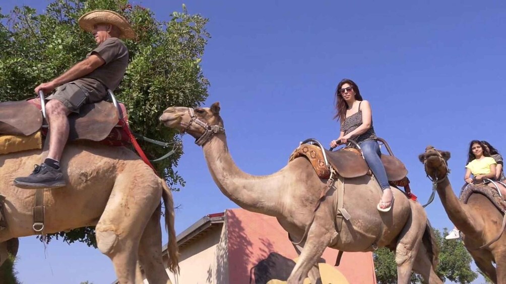 A man and two women riding camels in a sunny outdoor setting. 5
