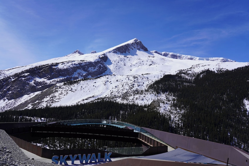 From Jasper: Discover the Columbia Icefield 3