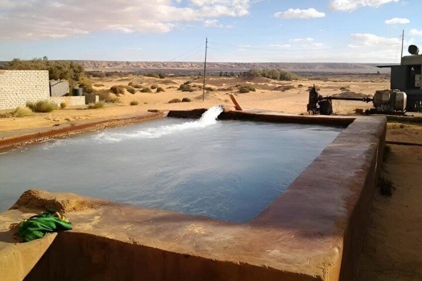 Une piscine avec un toboggan, entourée d’un paysage désertique. 5