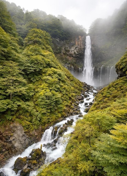 A waterfall cascading down a rocky gorge surrounded by lush green foliage. 4