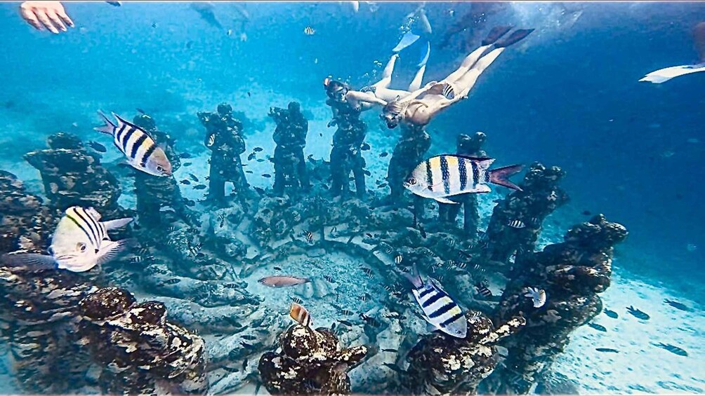 Gili Trawangan: best 3 island snorkeling tour with GoPro 1