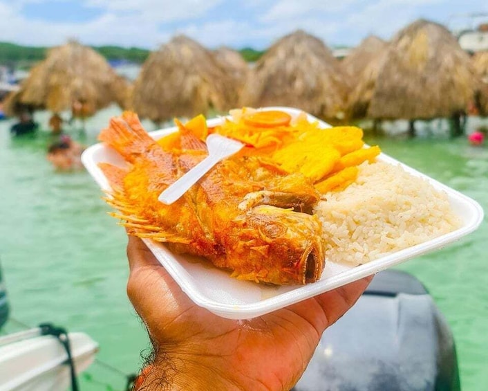 A person holding a plate with a fish, rice, and mango slices. 4