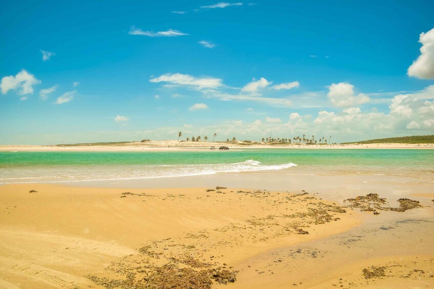 Picture 1 for Activity Águas Belas Beach Trip 3