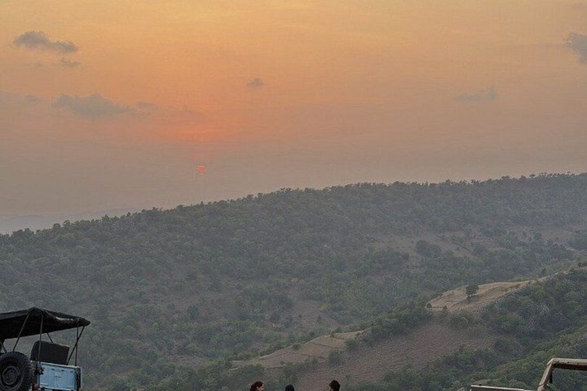 Udaipur: Private Vintage Willys Jeep Experience 4