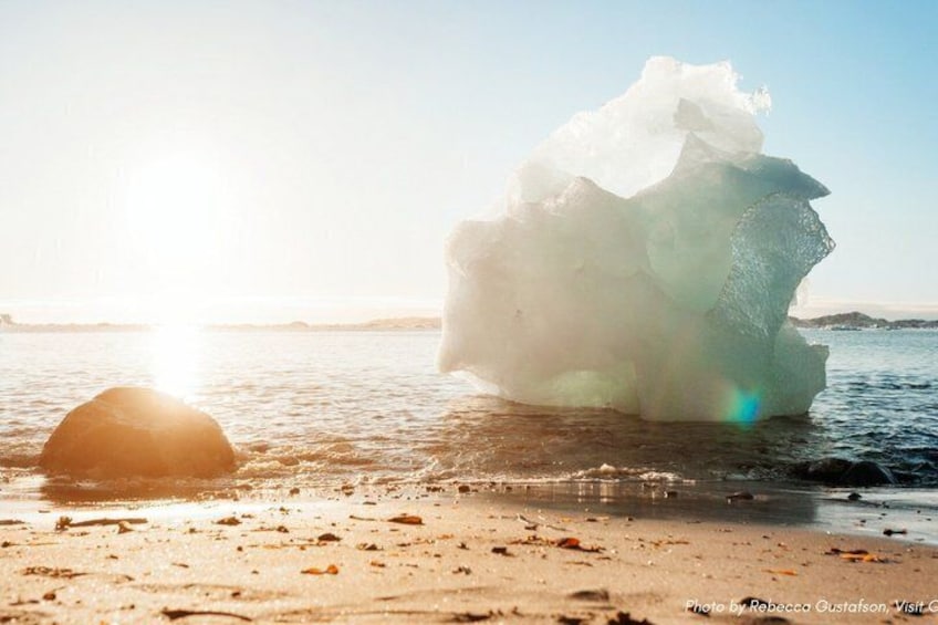 Nuuk Walking Tour with Greenlandic Beers and Arctic Burgers 5