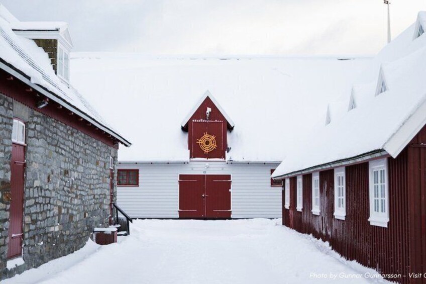 Nuuk Walking Tour with Guided Museum Visit & Greenlandic Tasting 2