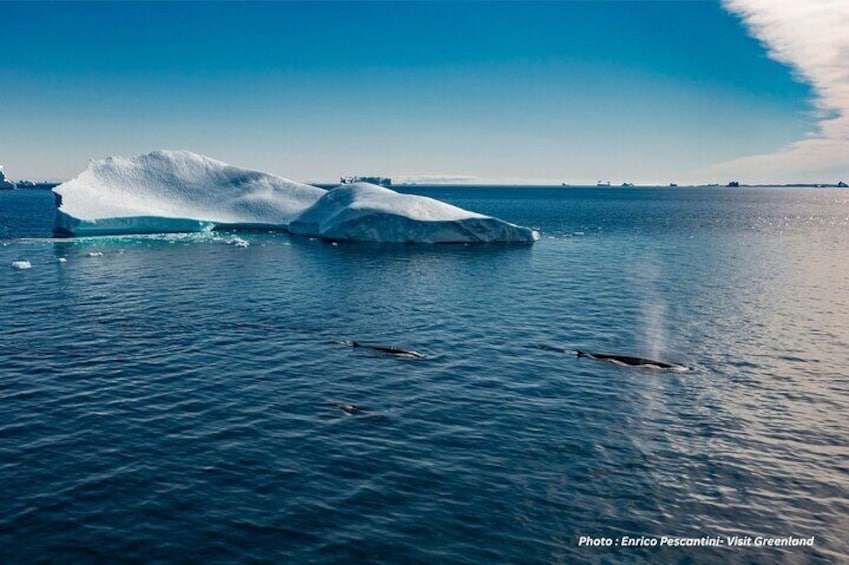 An iceberg in the ocean with clear skies. 4