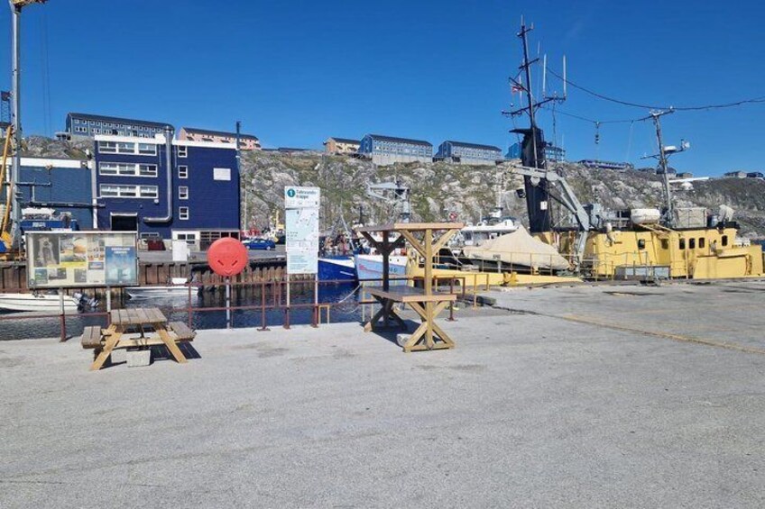 Nuuk Fjord Cruise with Greenlandic Picnic & Local Storytelling 2