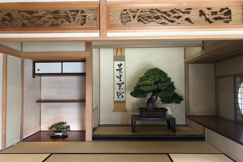 Omiya Bonsai Museum and Village Guided Tour Near Tokyo 4