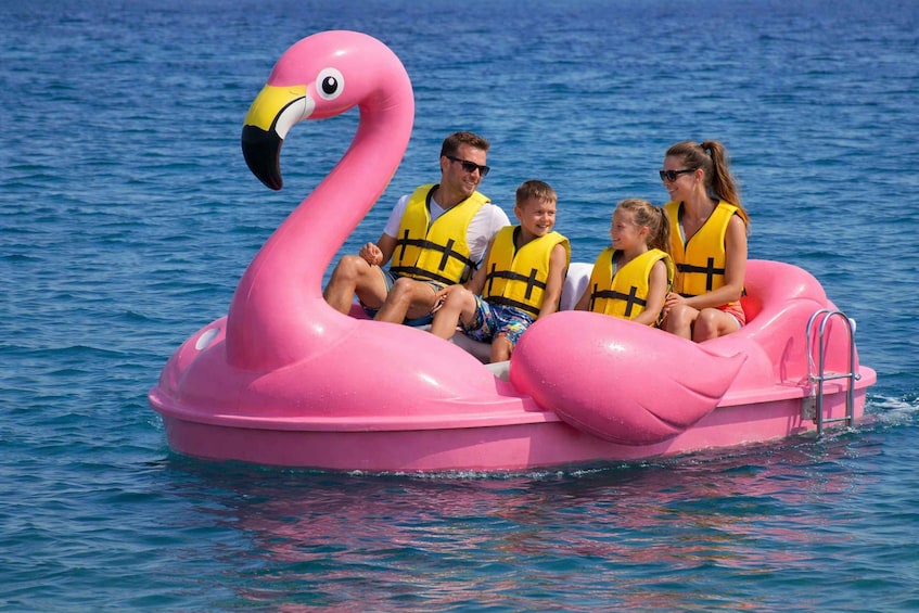Picture 2 for Activity Flamingo Pedal Boat Rental at Perivolos Black Beach 3