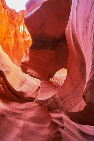 A narrow canyon with smooth, curved rock walls and a visible opening. 3