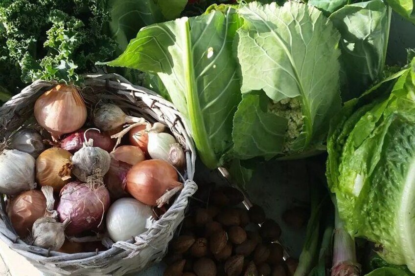 Ein Korb mit Zwiebeln und Kohl im Garten. 2