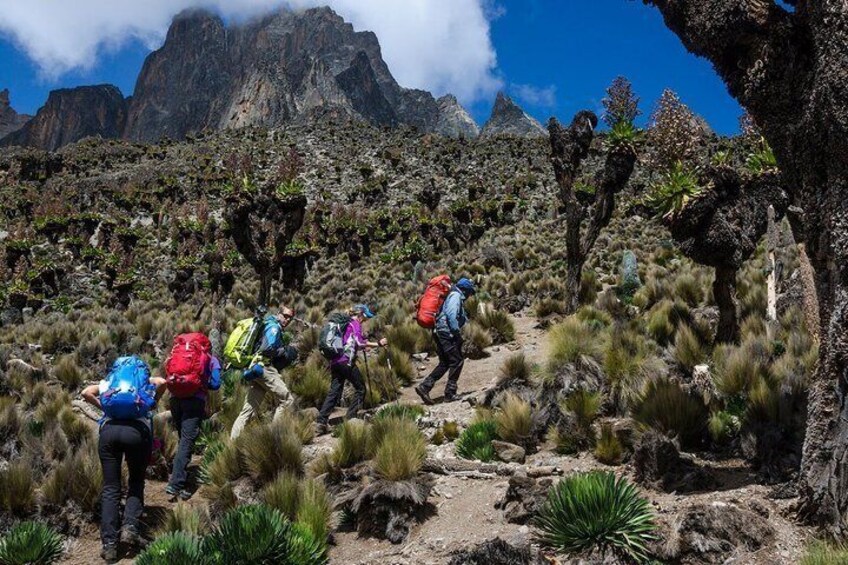 Hikers on a rocky trail with mountains in the background. 3