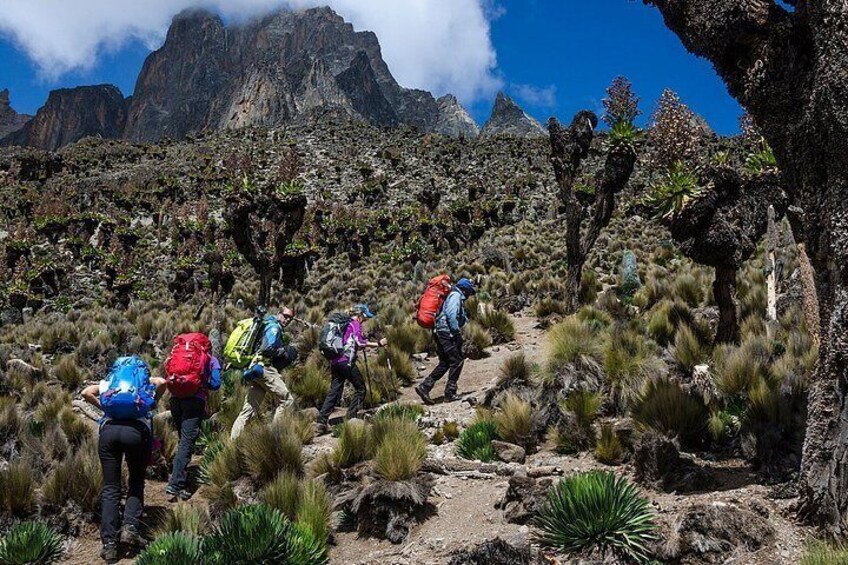 Hikers on a rocky trail with mountains in the background. 3
