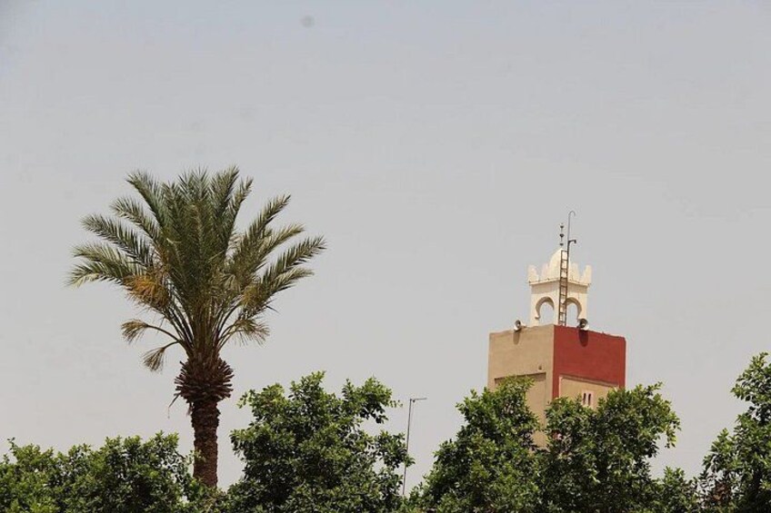 Taroudant and Tiout Day Trip from Agadir with Lunch 1