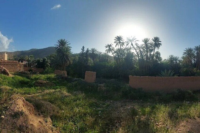 Taroudant and Tiout Day Trip from Agadir with Lunch 3
