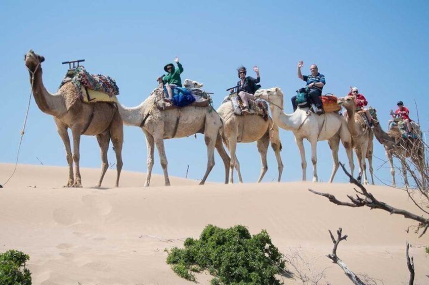 A group of camels with riders on a sandy dune landscape. 4