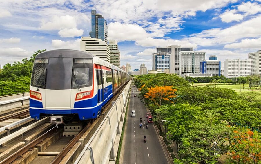 A train on elevated tracks, a highway, and a park with trees and buildings in the background. 3