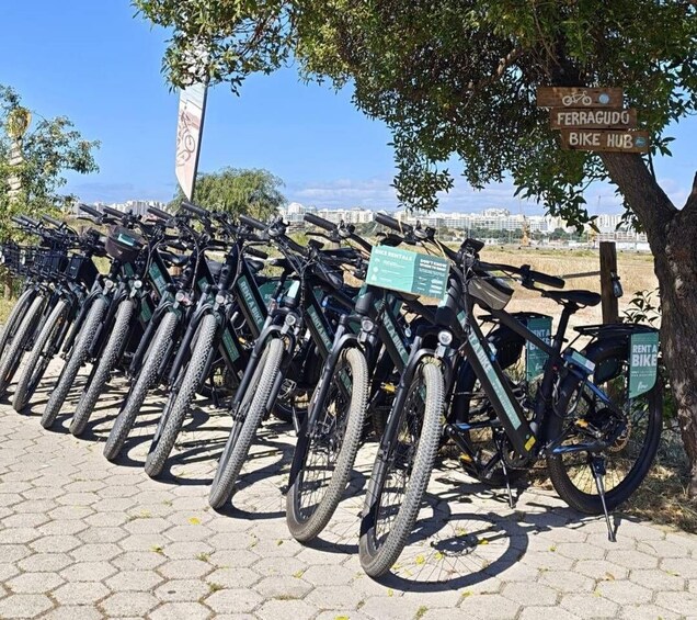 Picture 20 for Activity Ferragudo: Full-day electric Bike Rental with Routes 3