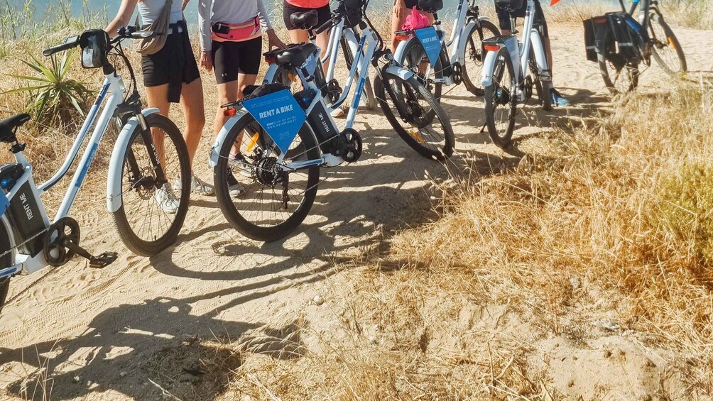 A row of bicycles parked on a sandy path with dry grass on the side. 1