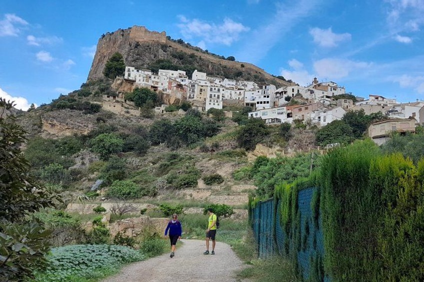 A pathway leading up a hill with buildings on the top and greenery around. 2