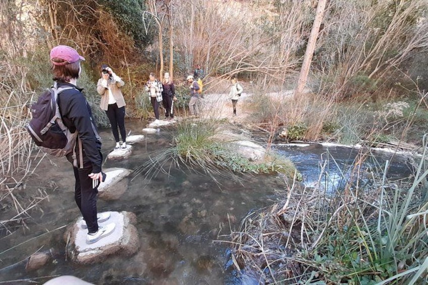People walking on stepping stones over a stream in a wooded area. 4