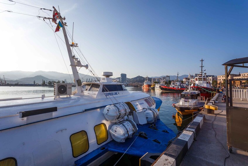 A ferry docked at a harbor with a clear sky, mountains in the background, and a cityscape. 3