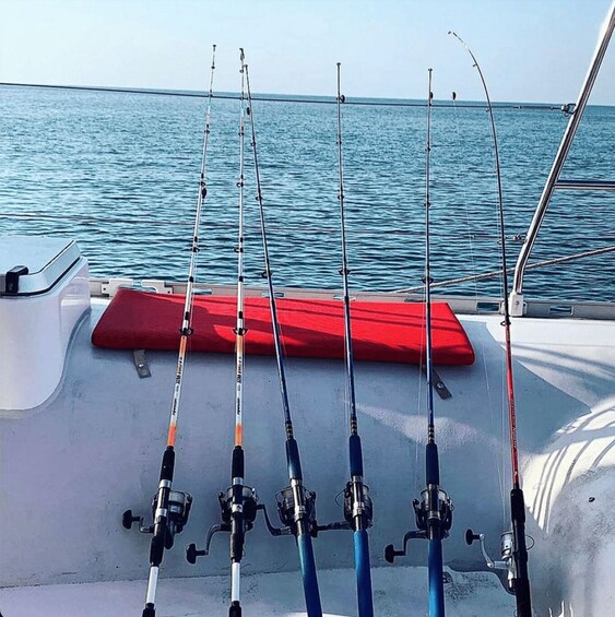 Fishing rods lined up on a boat with a red cushion and calm water in the background. 3