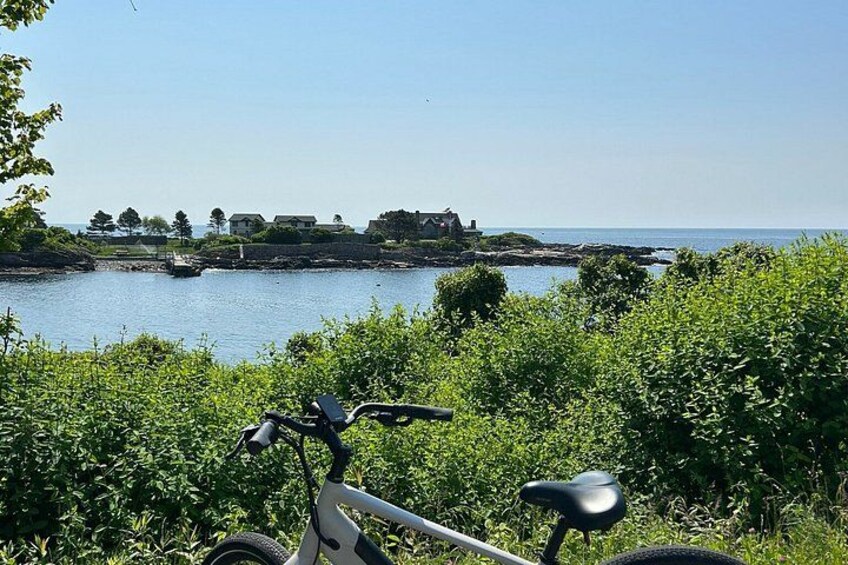 A bicycle in a lush green area with a body of water and buildings in the background. 2