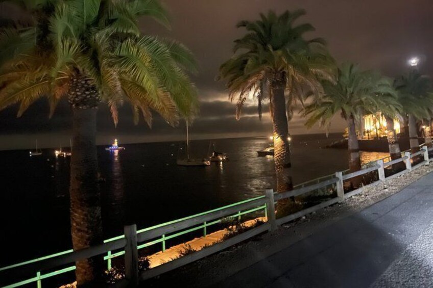 Eine nächtliche Küstenansicht mit Palmen, einem beleuchteten Gebäude und Booten auf dem Wasser. 1