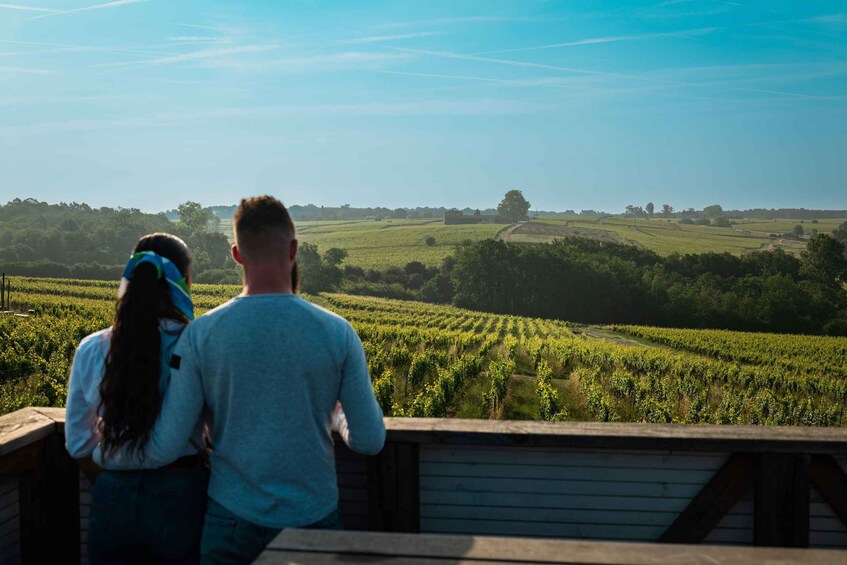 Two people overlooking a vineyard. 2
