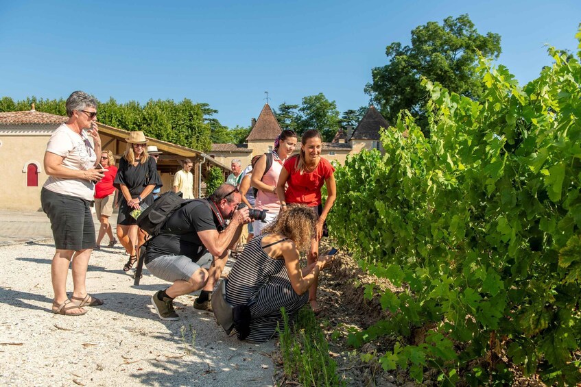 A group of people gathered around a vineyard, some taking photos. 3